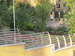 News and media - Landscaping update